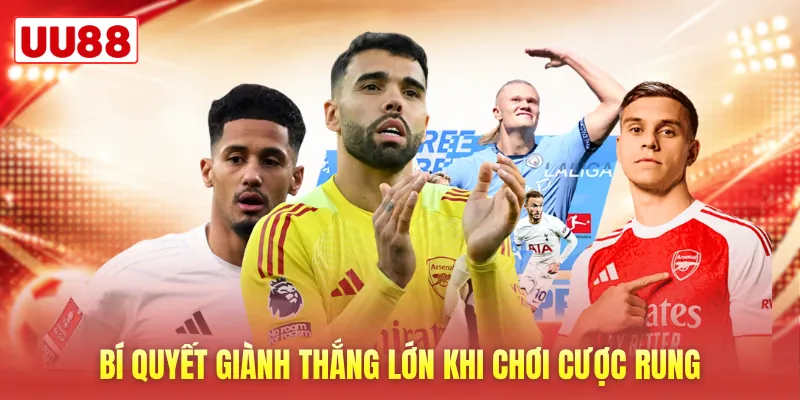 Bí quyết giành thắng lớn khi chơi cược rung